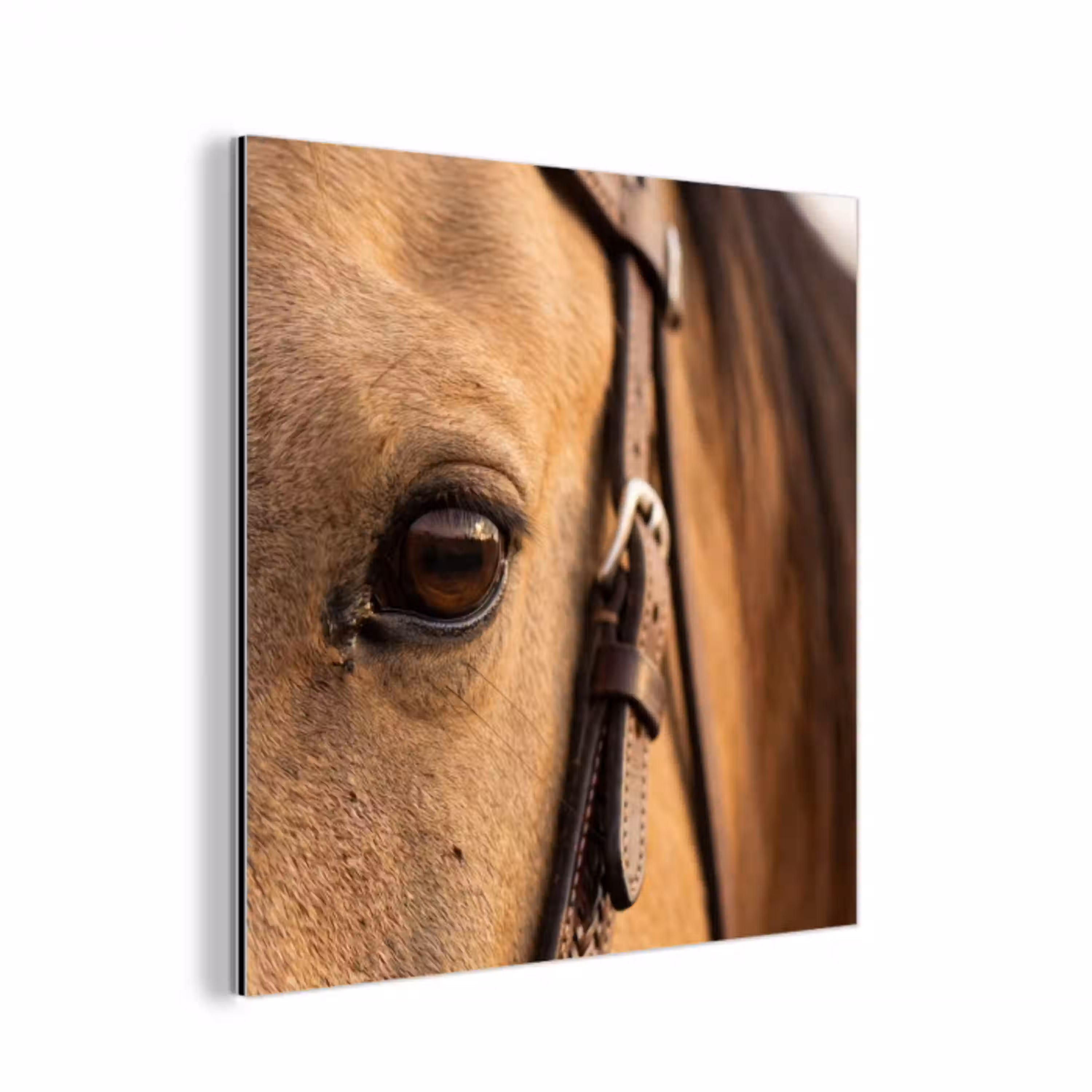 Paard - Oog - Bruin aluminium wit klein -3d