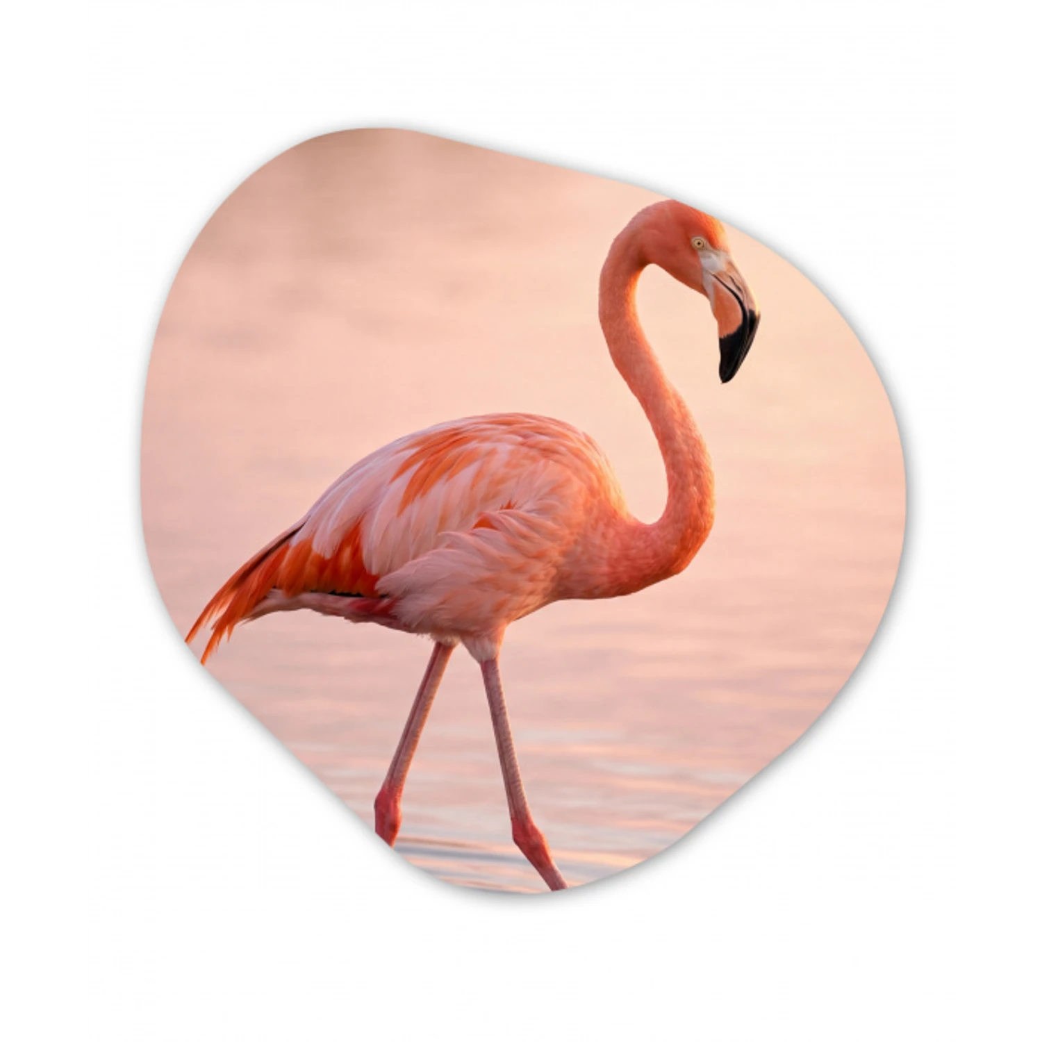 Flamingo - Water - Roze Wandcirkel Organisch Aluminium middel -3d