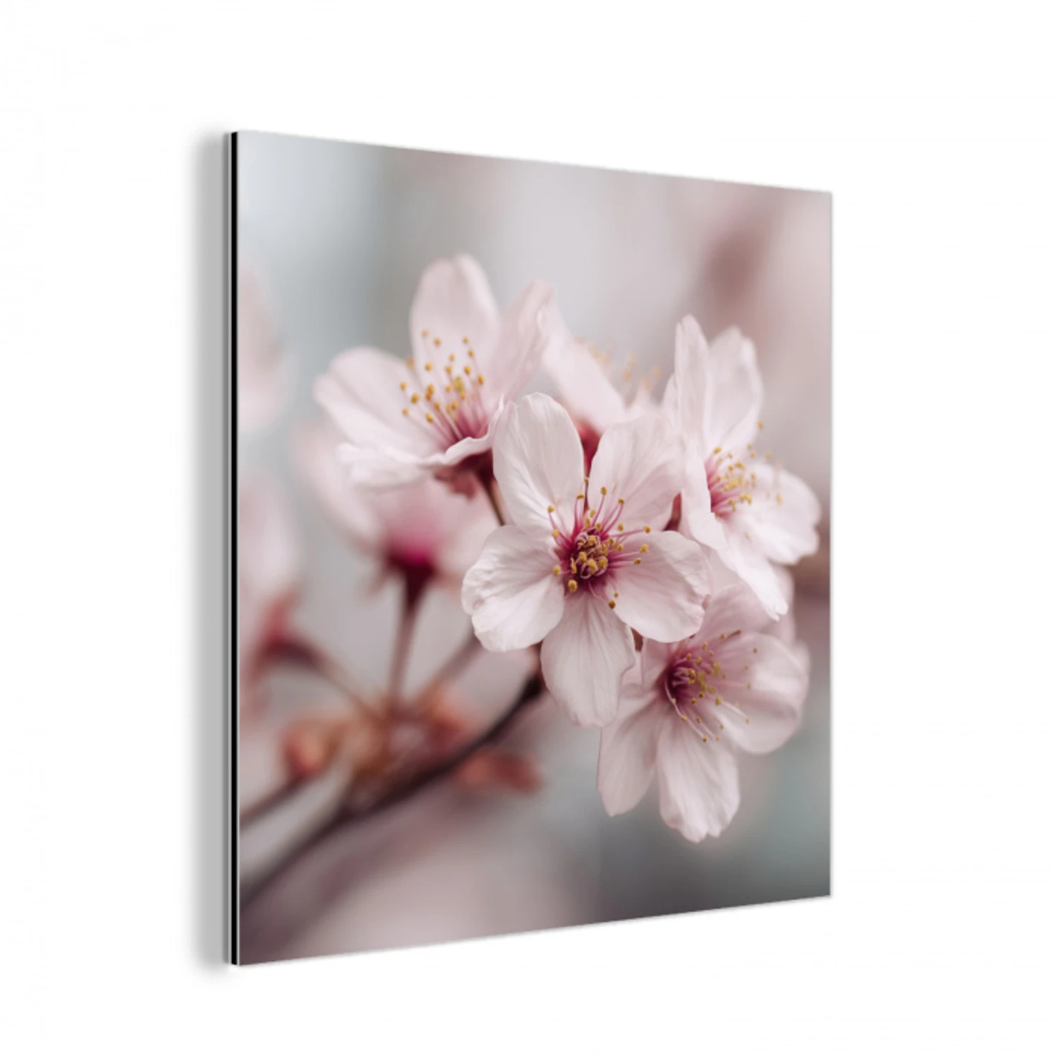 Bloesems - Meeldraden - Geel - Wazig aluminium wit klein -3d