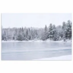 Meer - Dennen - IJs - Winter - Rustgevend poster papier klein -3d