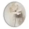 Bloem - Beige - Verf - Schaduw Akoestische PET Vilt - Rond klein -3d