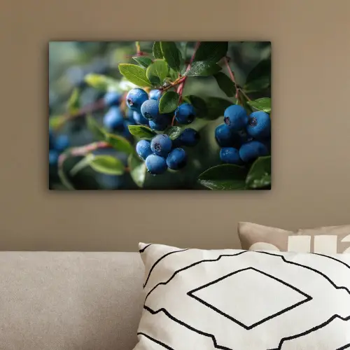 Blauwe bessen - Dauwdruppels - Natuurlijk licht canvas 2cm klein -sfeer3
