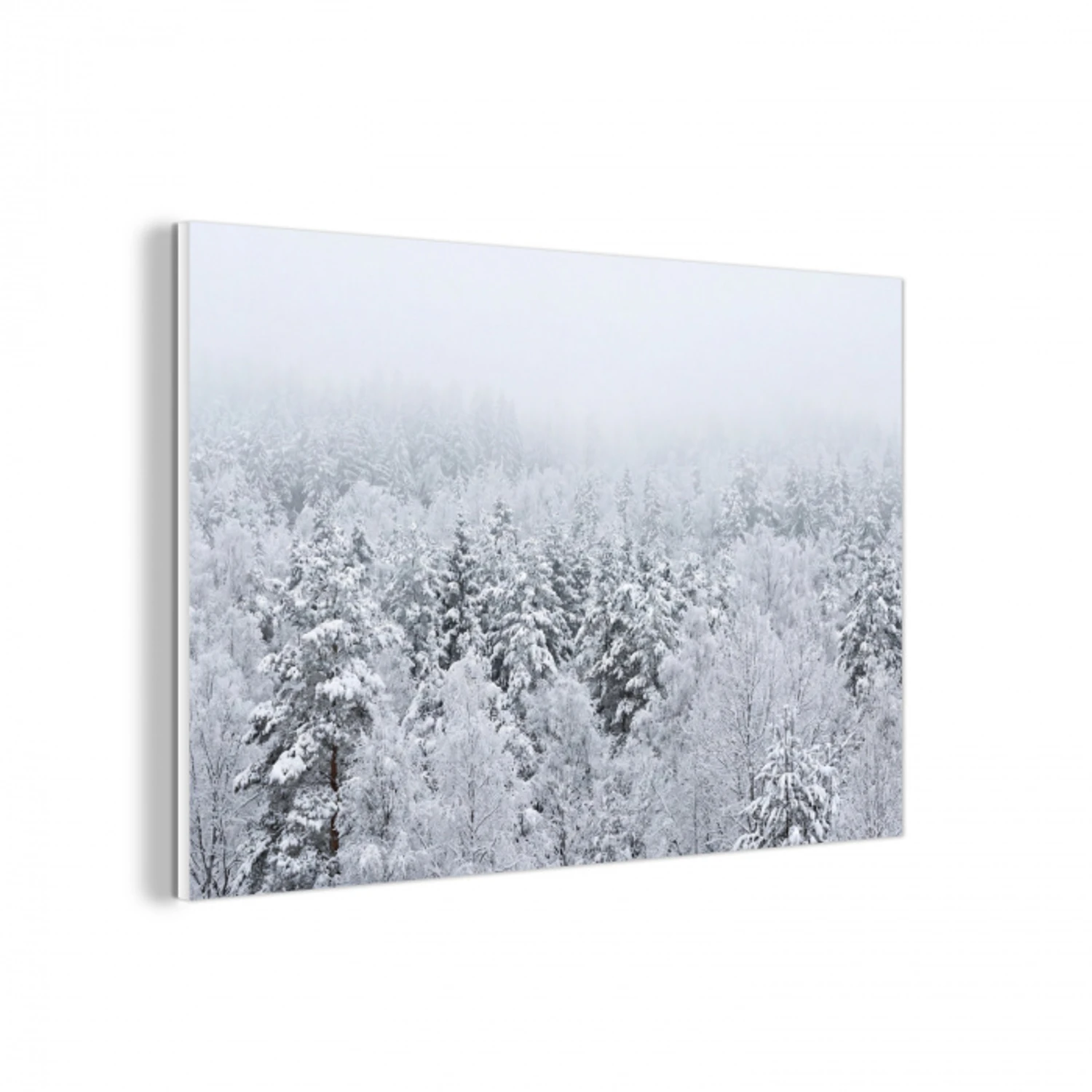 Bos - Sneeuw - Winter - Natuur - Wit forex 5mm xxl -3d
