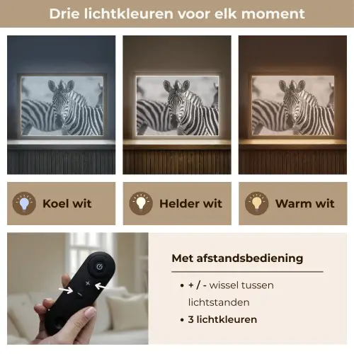 Zebra's - Zwart - Wit Light Box met batterij (Wandlamp) middel -USP_lichtkleurNL