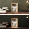 Kust - Klif - Boom - Gebouw Light Box met kabel (Tafellamp) klein -sfeer3