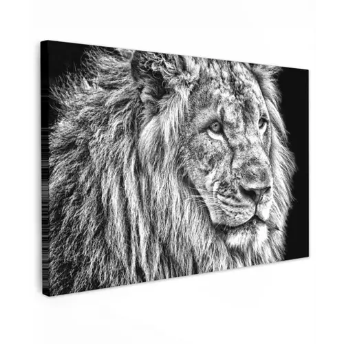 Portret - Leeuw - Zwart wit canvas 2cm klein -z3d