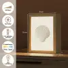 Schelp - Minimalistisch - Wit Light Box met kabel (Tafellamp) klein -USP_NL