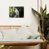 Arend - Hout - Wit - Planten tuinposter los doek klein -sfeer7