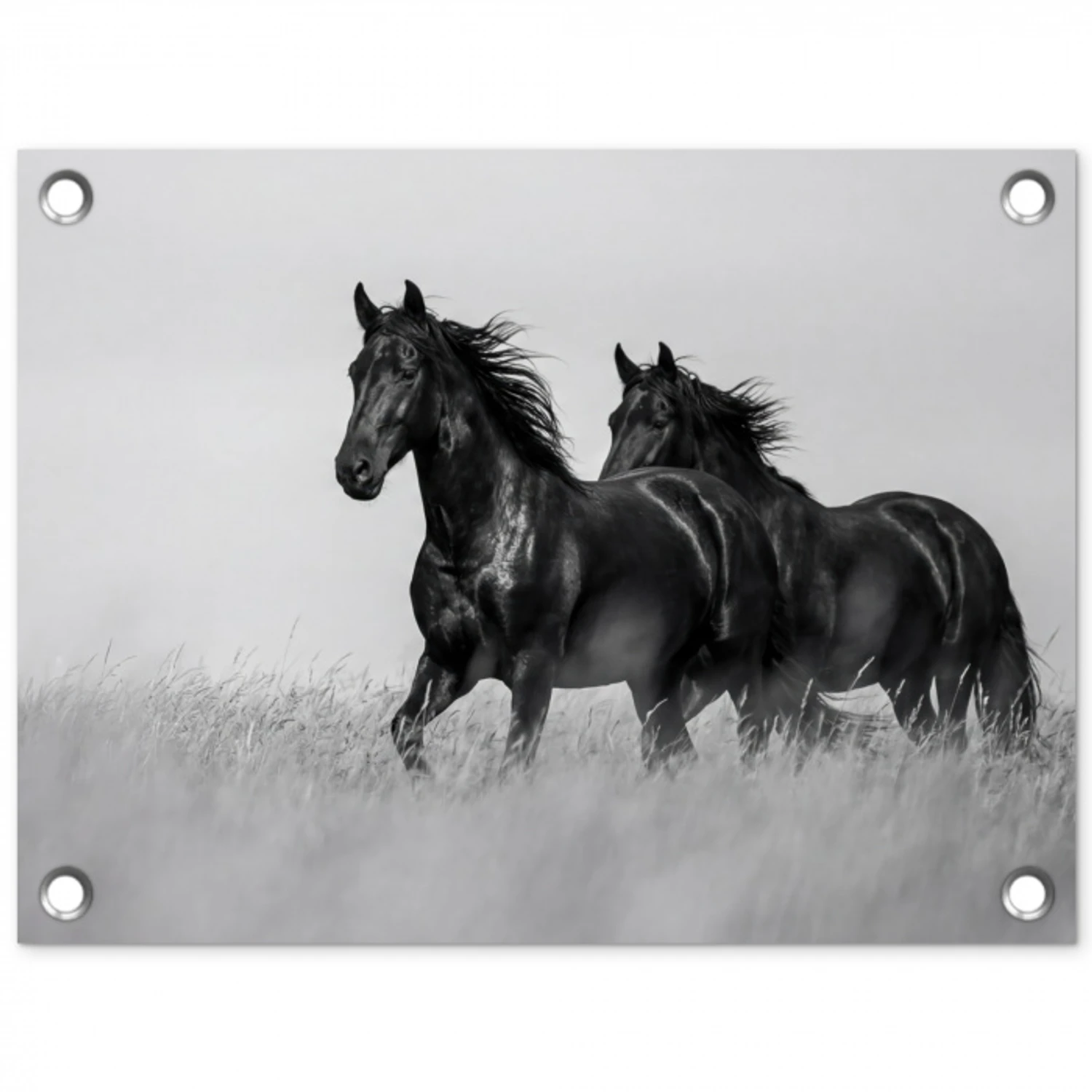 Paarden - Gras - Zwart - Wit tuinposter los doek klein -3d