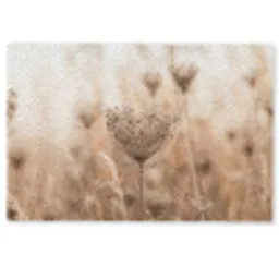 Schermbloem - Droogbloem - Winter - Beige - Minimalistisch Deurmat klein -zkaufland3d