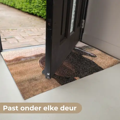 Paard - Zonsondergang - Bruin Deurmat klein -USP_NL