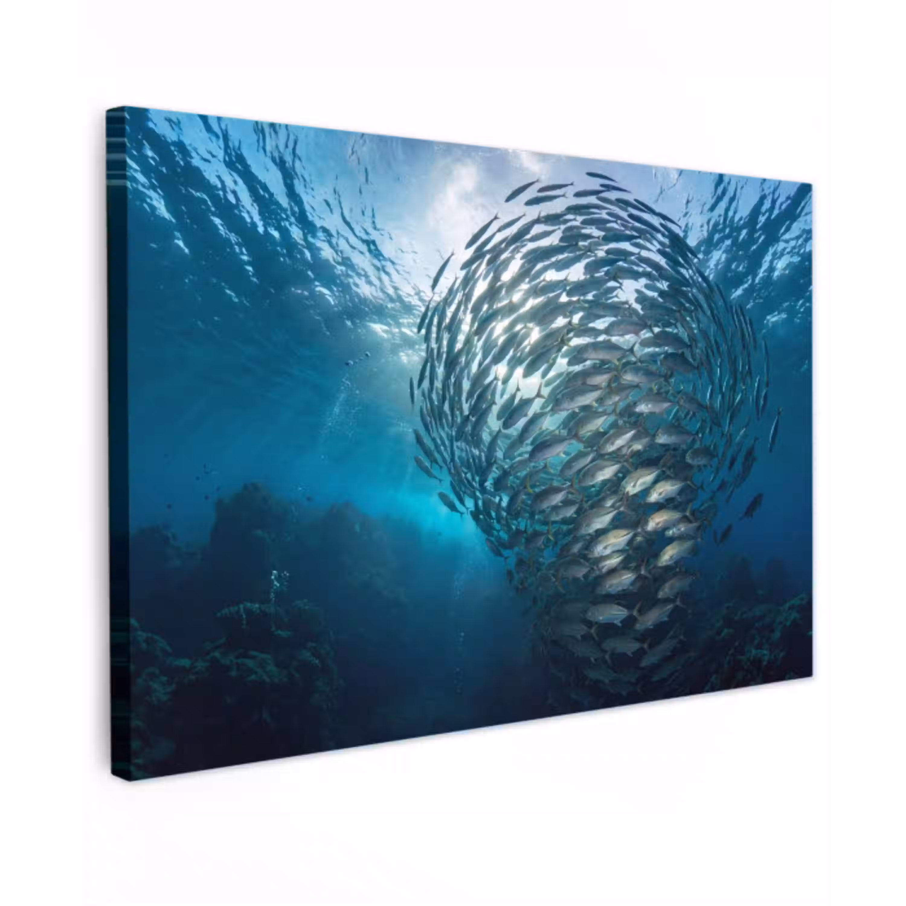Vis - School - Oceaan - Natuur - Blauw canvas 2cm klein -z3d