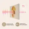 Cirkels - Geel - Minimalistisch PET vilt klein -USP_NL