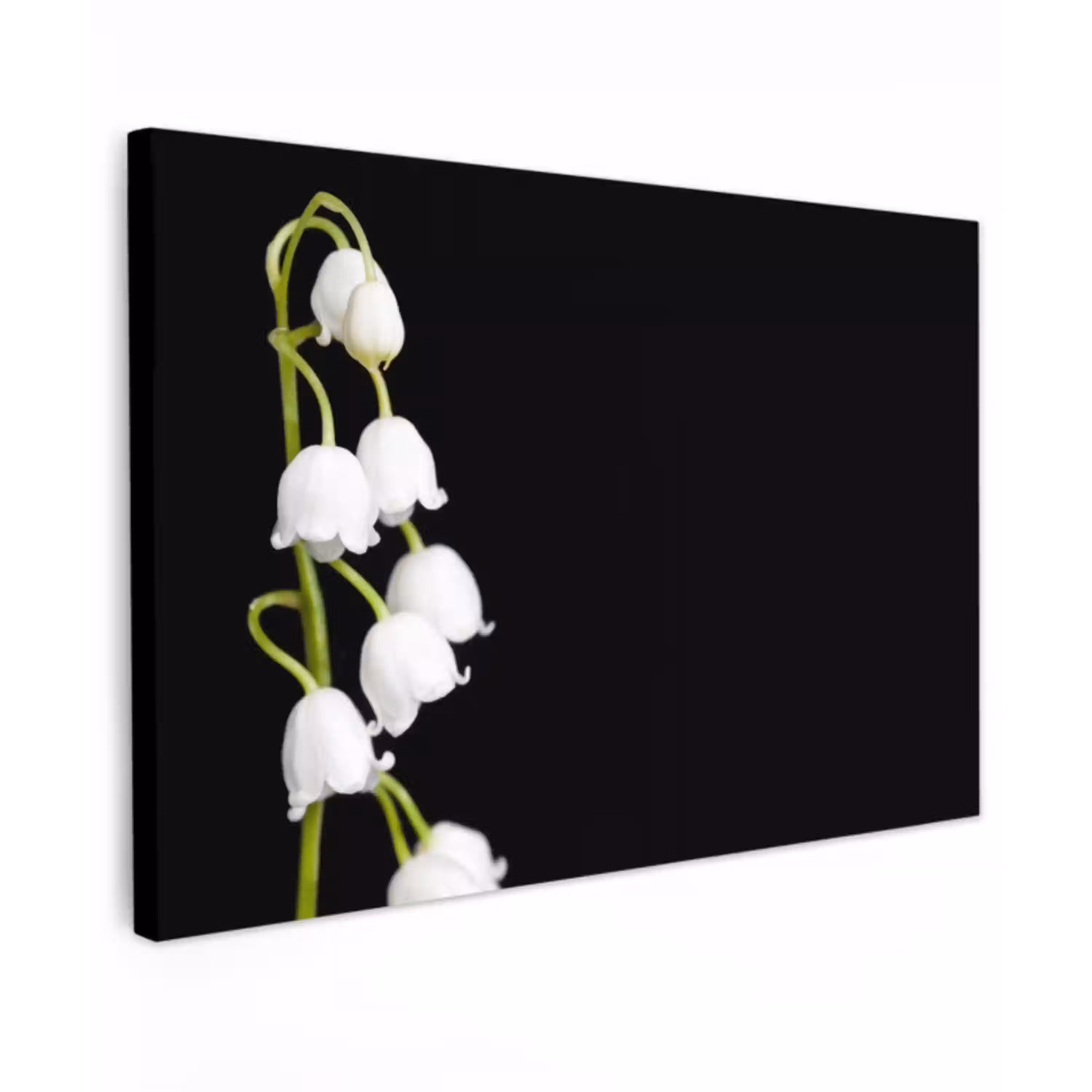 Lelietjes van dalen - Bloemen - Zwart - Flora Tuinposter op houten frame 2 cm dik klein -3d