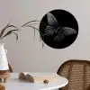 Vlinder - Zwart - Insect - Dieren Wandcirkel behangsticker klein -sfeer3
