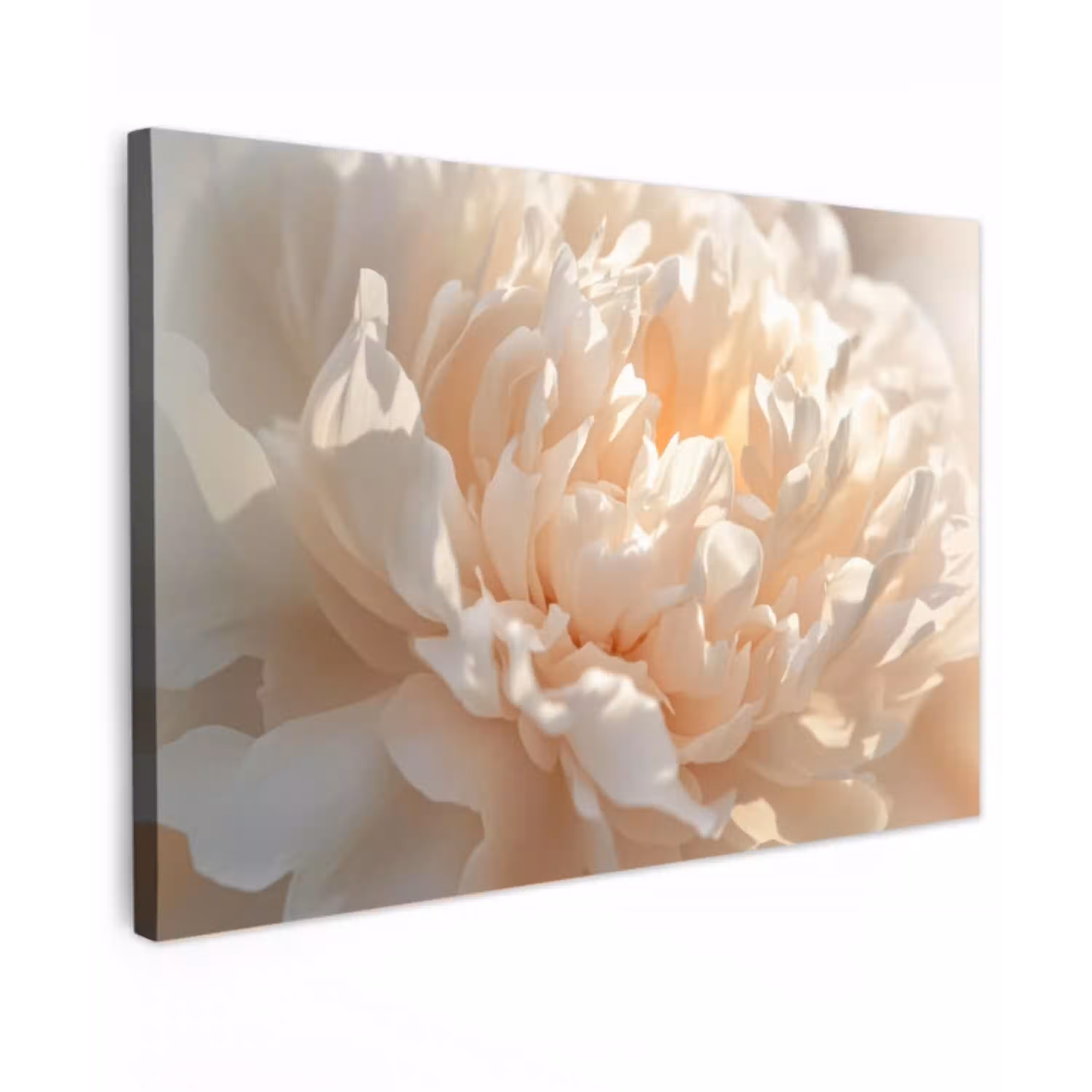 Close up - Pioenroos - Lichtroze canvas 2cm klein -z3d