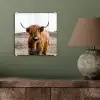 Schotse hooglander - Landschap - Koe - Bruin - Dieren - Natuur plexiglas 5mm klein -sfeer3