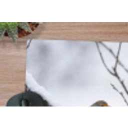 Roodborstje - Tak - Sneeuw - Winter - Levendig muismat rubber klein -closeup