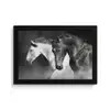 Paarden - Dieren - Zwart - Wit - Portret fotolijst zwart zonder passe partout klein -3d