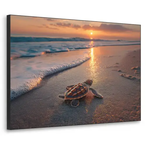 Schildpad - strand - Zonsondergang Textielframe zwart klein -3d