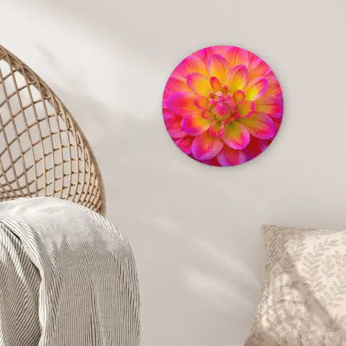 Roze - Dahlia - Kleurrijk Wandcirkel kunststof plaat 5mm dik klein -sfeer5