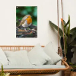 Roodborstje op een Boomstam tuinposter los doek klein -sfeer7