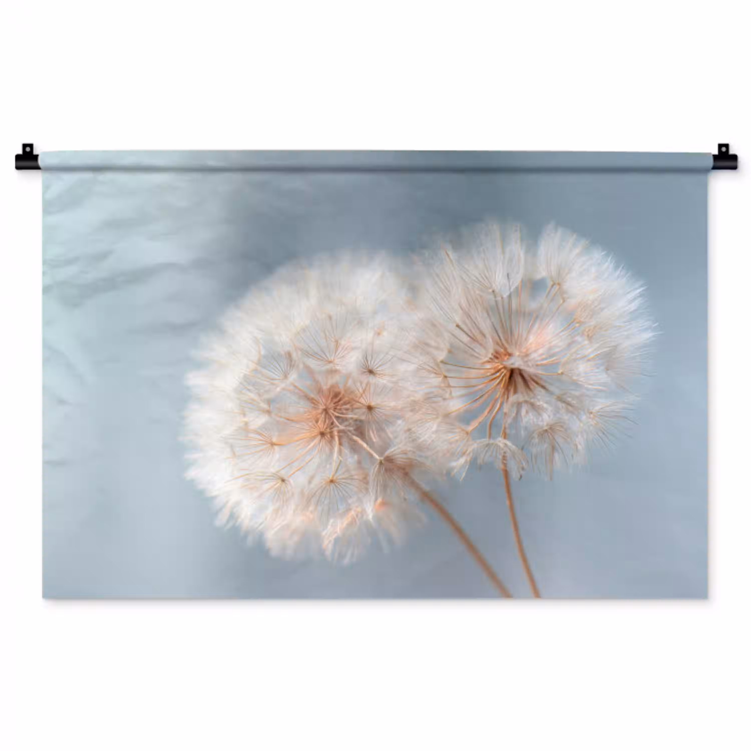 Paardenbloemen - Pluisjes - Wit Wandkleed katoen middel -zz3d