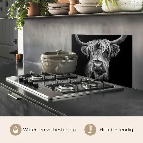 Schotse Hooglander - Horens - Zwart - Wit - Koe - Wild - Dieren keuken achterwand spatscherm klein -usp_NL