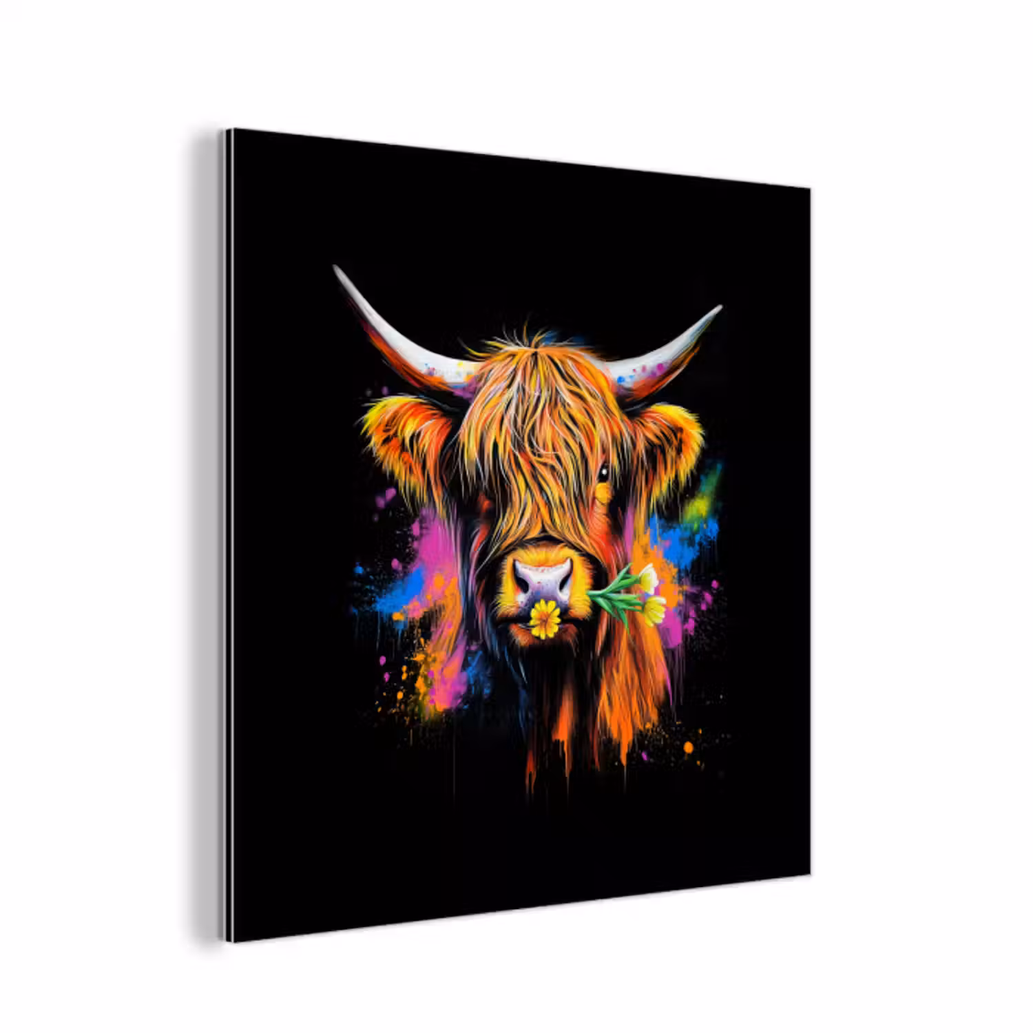 Aluminium schilderij - Schotse Hooglander - Graffiti - Kleurrijk - Bloem - Dieren