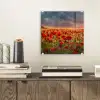 Zonsondergang - Klaprozen - Rood - Bloemen - Veld - Natuur plexiglas 5mm klein -sfeer1