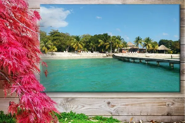 Tuinposter Panorama Tropisch Strand