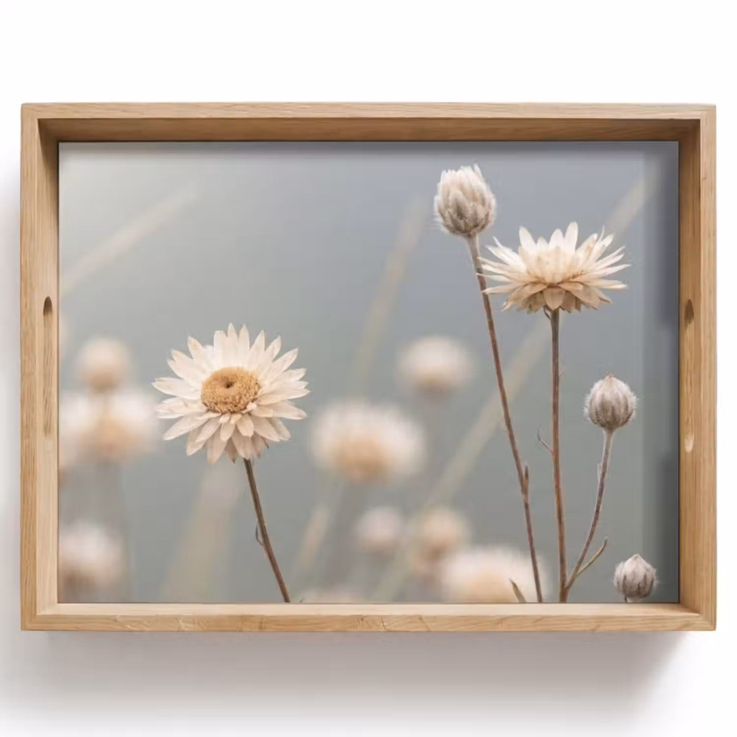Dienblad - Strobloemen - Wit - Daglicht