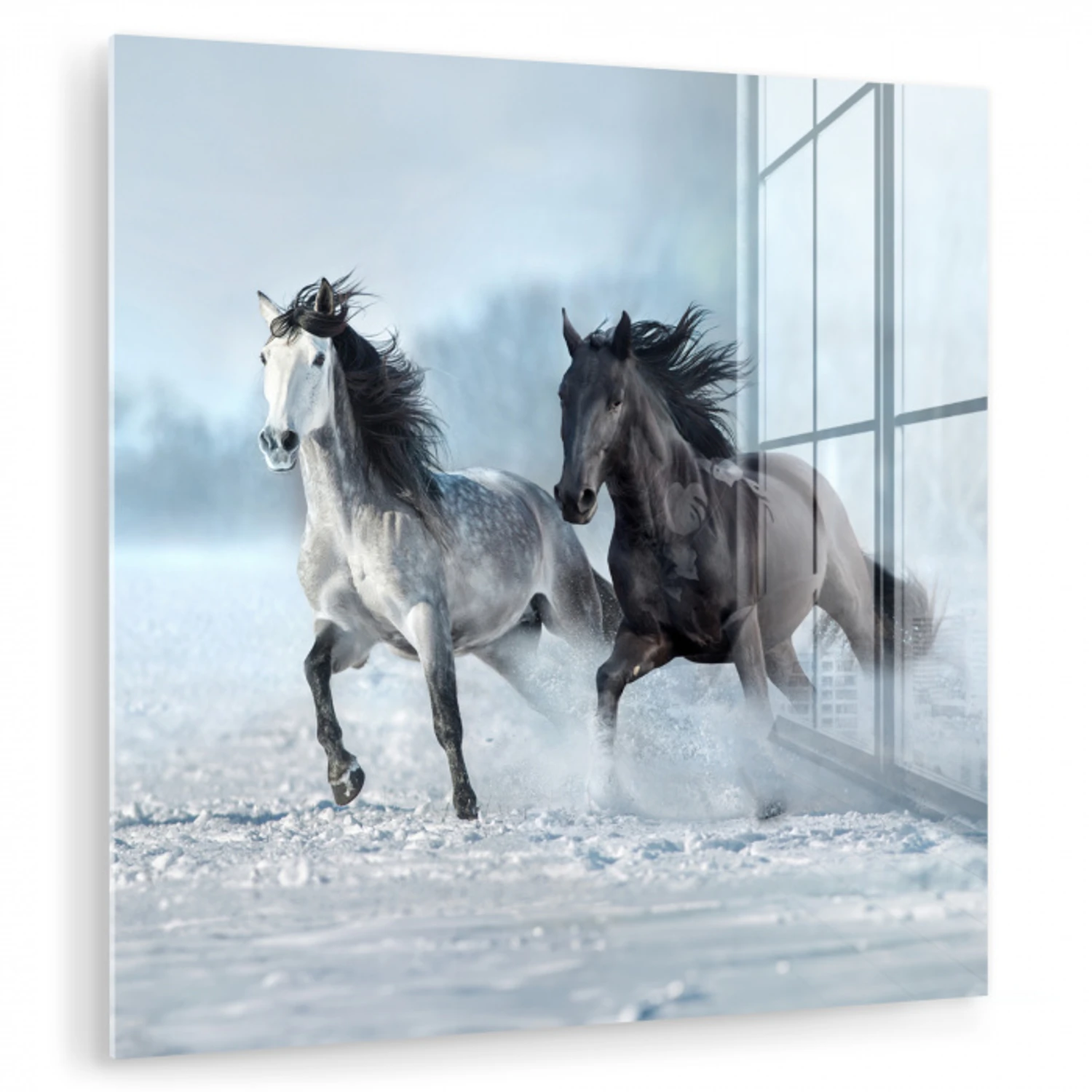 Paarden - Winter - Dieren - Natuur - Sneeuw plexiglas 5mm klein -zzzproduct_nieuw