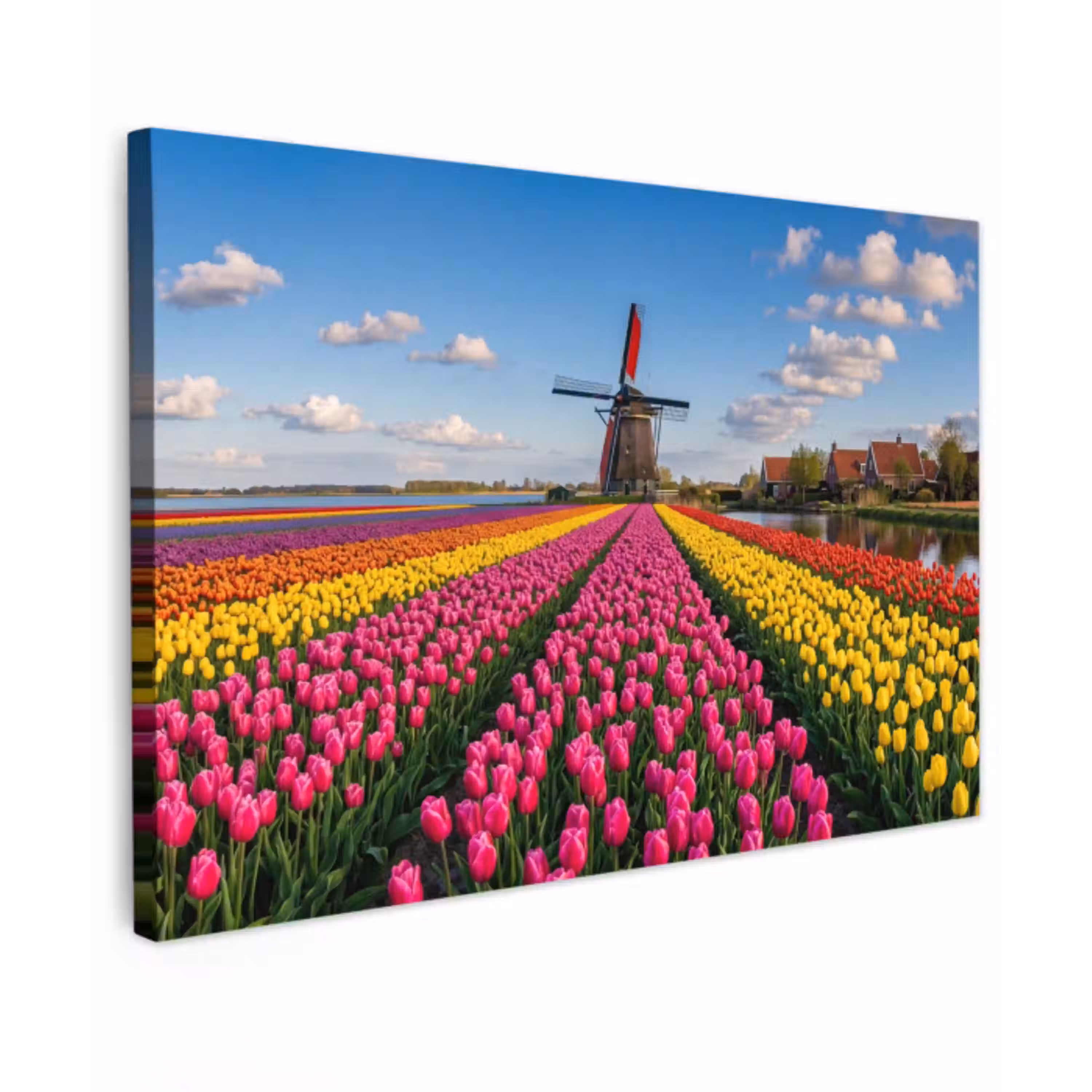Tulpen - Holland - Molen - Kleurrijk canvas 2cm klein -z3d