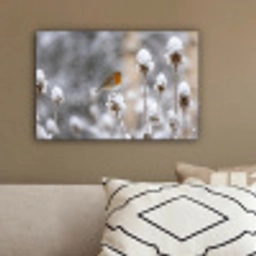 Roodborstje - Gedroogde bloem - Sneeuw - Winter - Vertederend canvas 2cm klein -sfeer3