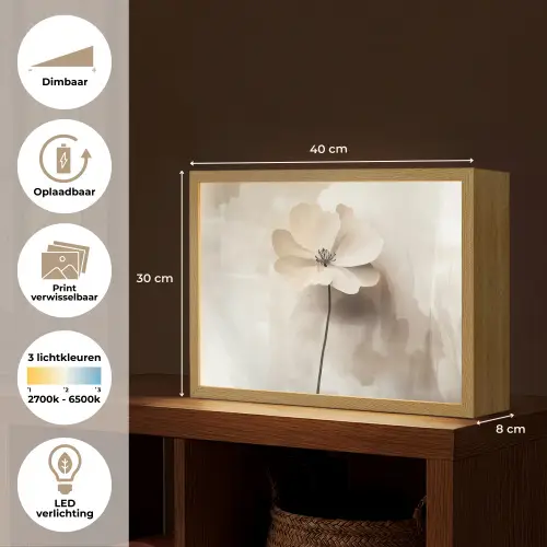 Bloem - Beige - Verf - Schaduw Light Box met batterij (Wandlamp) middel -USP_websiteoverzichtNL