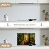 Zon - Bomen - Bos - Landschap - Natuur keuken achterwand spatscherm klein -voor_na_FR