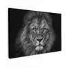 Leeuw - Dieren - Zwart - Wit canvas 2cm klein -z3d