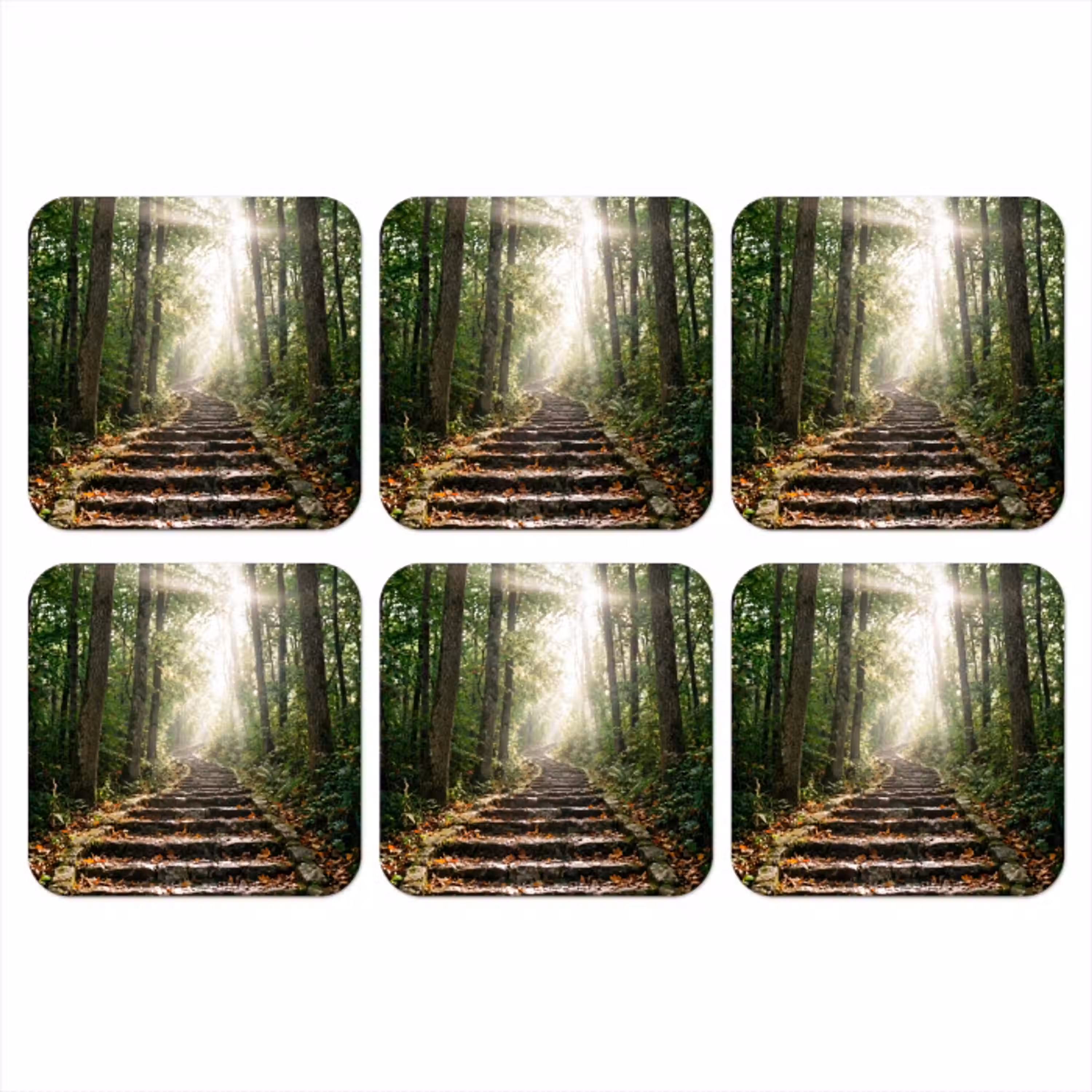Stenen - Trap - Bos - Natuur onderzetter kurk middel -3d