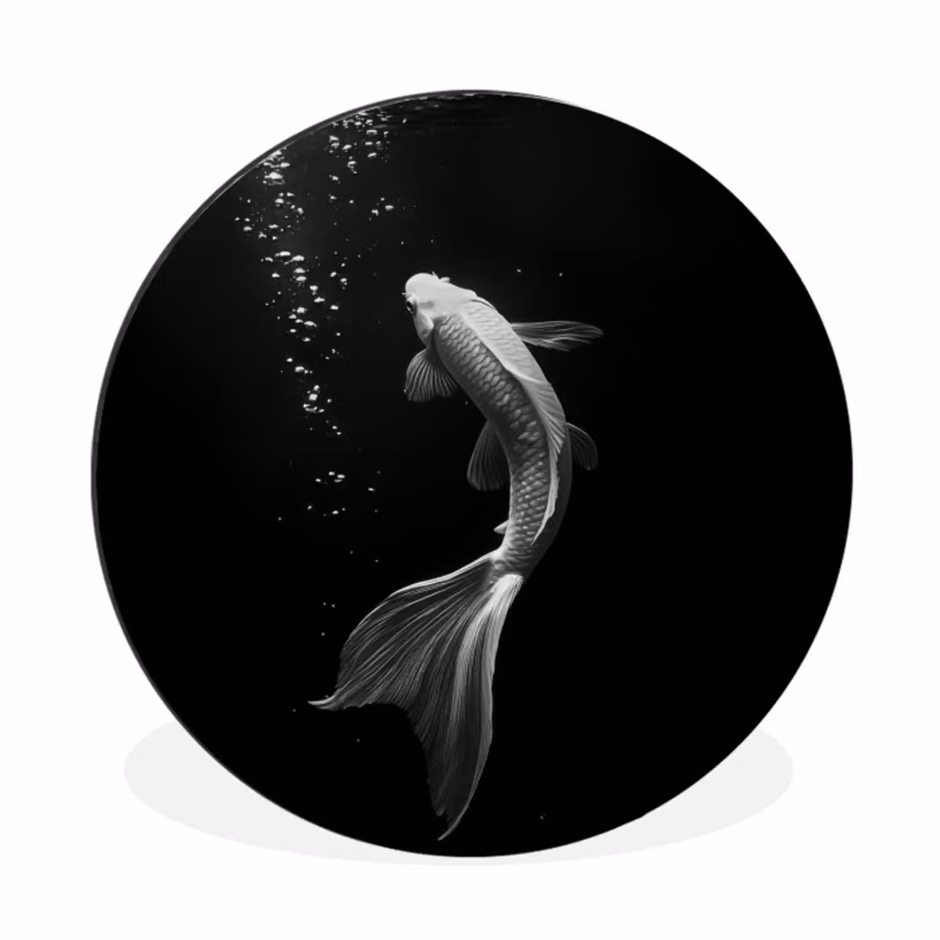 Koi - Vis - Wit - Zwart Wandcirkel aluminium klein -3d
