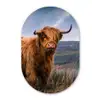 Schotse Hooglander - Berg - Water - Natuur - Koe Wandcirkel Ovaal Forex klein -3d