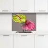 Planten - Anthurium - Groen - Roze keuken achterwand 2 middel -3d