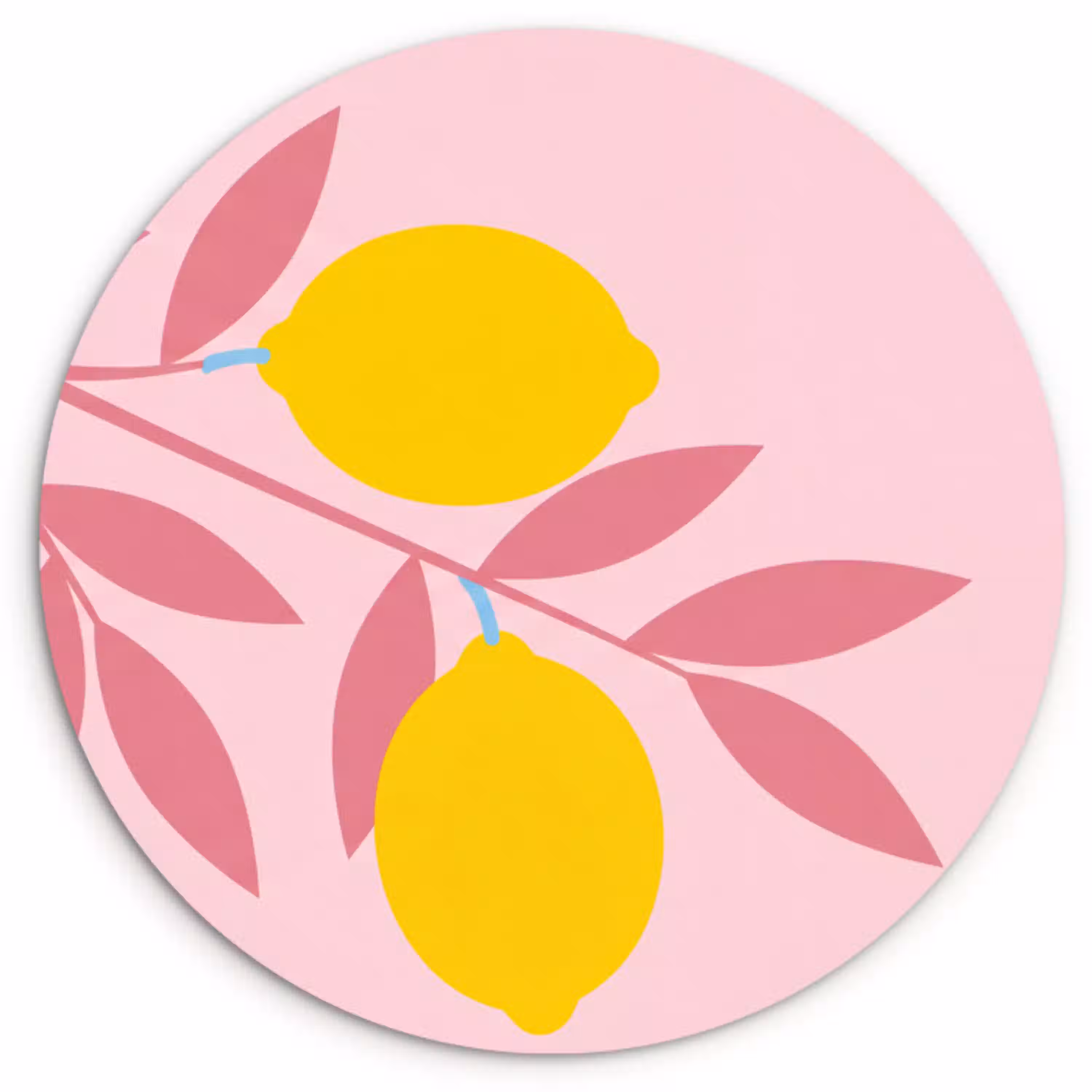Fruit - Tak - Natuur - Abstract - Roze Wandcirkel kunststof plaat 5mm dik klein -3d