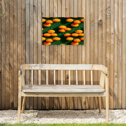 Mandarijn - Oranje - Druppels - Groen Tuinposter op houten frame 2 cm dik klein 845 -sfeer4