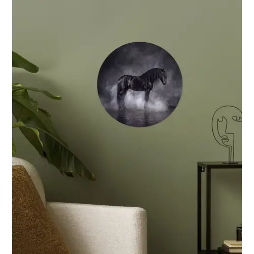 Paard - Magisch - Zwart Wandcirkel behangsticker klein -sfeer2