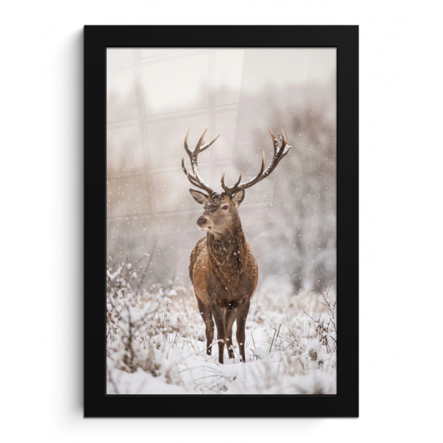 Edelhert - Bos - Sneeuw - Winter - Majestueus fotolijst zwart zonder passe partout klein -3d