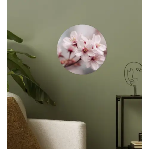 Bloesems - Meeldraden - Geel - Wazig Wandcirkel behangsticker klein -sfeer2