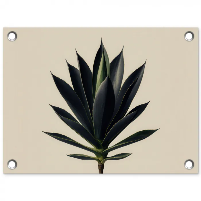 Agaveplant - Symmetrisch - Groen tuinposter los doek klein -3d