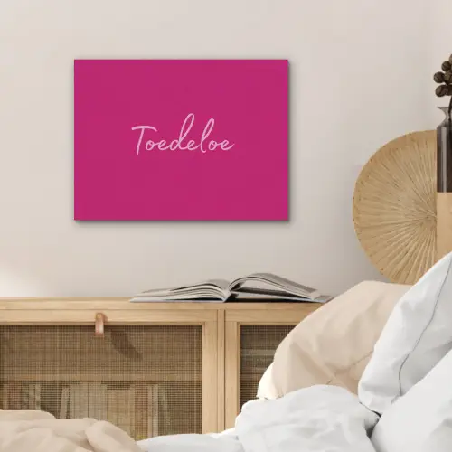 Toedeloe - Roze PET vilt klein -sfeer3