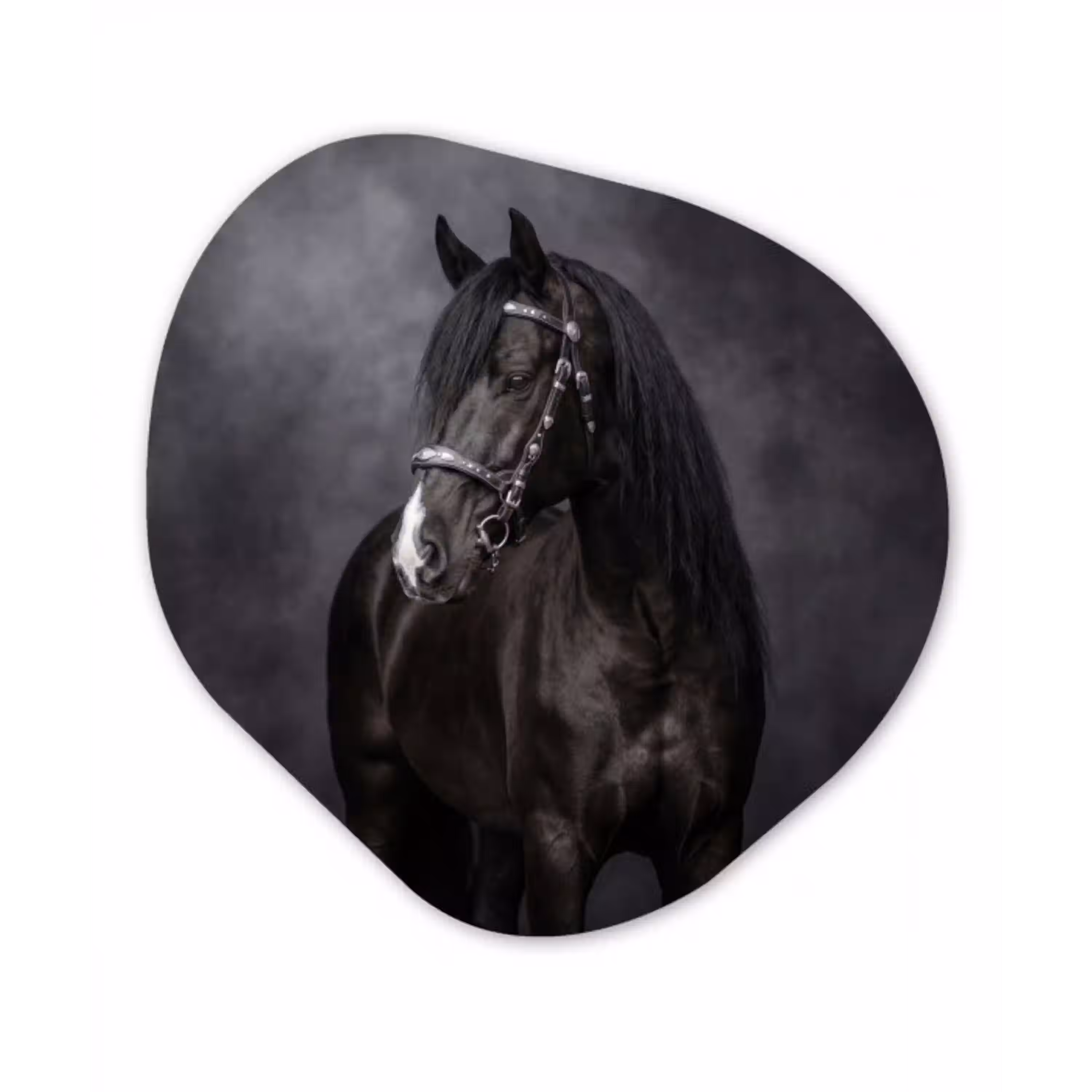 Portret - Paard - Zwart Wandcirkel Organisch Aluminium middel -3d